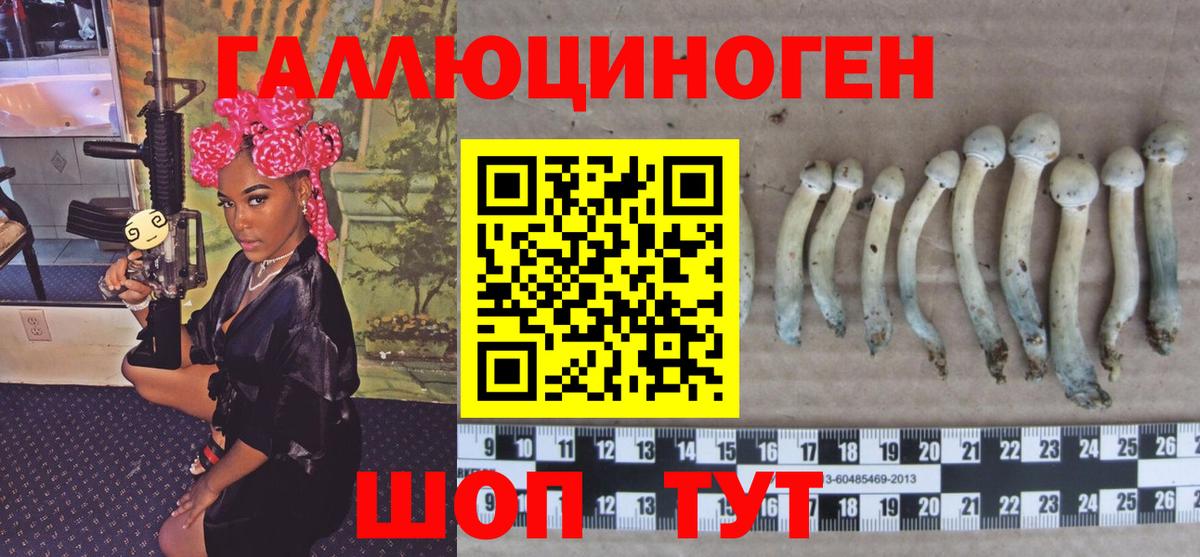 Галлюциногенные грибы GOLDEN TEACHER Урюпинск